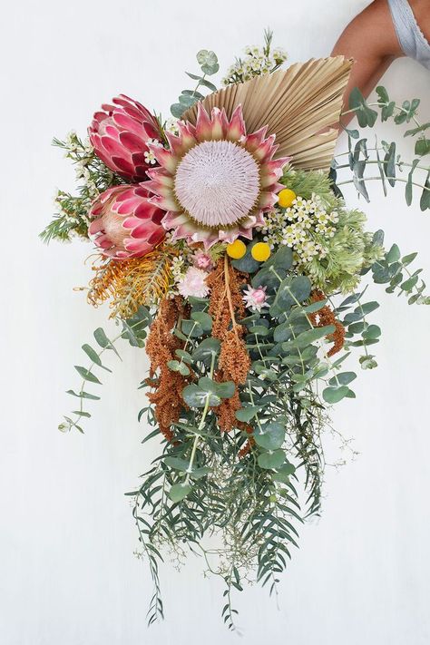 Colourful, native wildflower, cascading bridal bouquet featuring king protea & eucalyptus gum. Wild Wedding Bouquet, Best Wedding Flowers, South African Flowers, Protea Bouquet, Australian Native Garden, Australian Wildflowers, Violet Wedding, South African Weddings, Australian Flowers