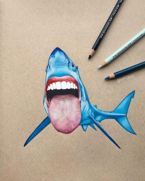 Color Pencil Drawing Shark Drawing, Prismacolor Art, Colored Pencil Drawing, Art Lesson Plans, Color Pencil Art, Pencil Art, Pencil Drawing, Animal Drawings, Art Lessons