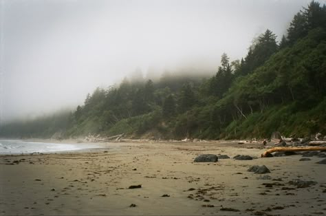 La Push Aesthetic, Oregon Ocean, Pacific Northwest Summer, Pnw Landscape, Washington Aesthetic, La Push Washington, Pnw Beach, Pnw Photography, La Push Beach