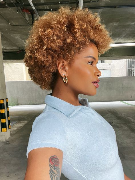 Natural Hair Pixie Cut, Alissa Ashley, Caramel Blonde Hair, Blonde Afro, Blonde Natural Hair, Short Hair Images, Honey Brown Hair, Natural Hair Short Cuts, Ginger Hair Color