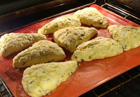 Southern Biscuits Recipe, Easy Scone, Flour Biscuits, Scones Recipe Easy, Homemade Scones, Tea Cakes Recipes, Breakfast Goodies, Blueberry Scones, Pastry Flour