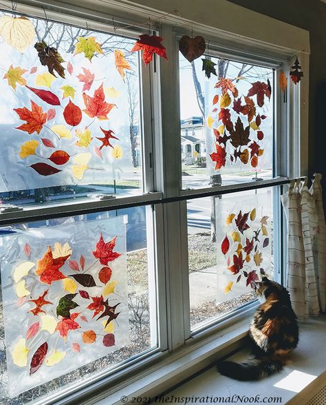 How to Make Striking Autumn Leaf Suncatchers- Easy DIY Leaves Arts And Crafts, Leaf Suncatchers, Leaf Crafts Kids, Preschool Door Decorations, Diy Window Clings, Leaf Craft, Thanksgiving Leaves, Autumn Leaves Craft, Leaf Projects