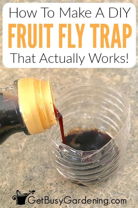 Kill Fruit Flies, Flies Trap Diy, Catch Fruit Flies, Homemade Fruit Fly Trap, Homemade Fly Traps, Fruit Fly Killer, Fruit Flies In House, Fruit Fly Trap Diy, Garden Landscaping Design