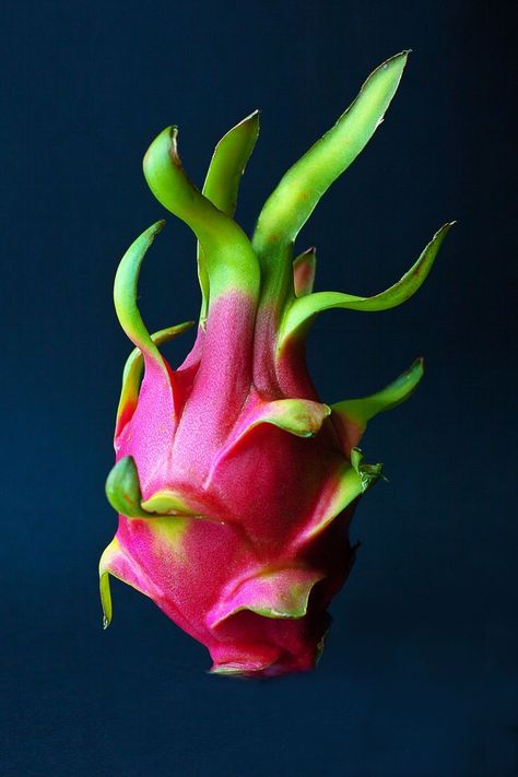 Watermelon Flower, Dragon Fruit Smoothie, Carrot Flowers, Fruit Du Dragon, Healthy Fruit Smoothies, Leaf Structure, Thanh Long, Seasonal Fruit, Fruits Photos