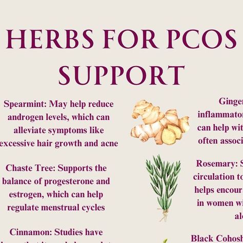 Holistic Health & Wellness on Instagram: "Polycystic Ovary Syndrome (PCOS) is a hormonal disorder common among women of reproductive age. Discover natural remedies for PCOS with herbs like spearmint, cinnamon, and chaste tree. These powerful botanicals help regulate hormones, improve insulin sensitivity, and reduce inflammation. 

Disclaimer: This content is for educational purposes only and should not be considered medical advice. 

#herb #holistichealth #holistichealths #naturalmedicine #herbalmedicine #herbalism #herbalremedies #pcos #pcosawareness" Regulate Hormones, Chaste Tree, Insulin Sensitivity, How To Regulate Hormones, For Educational Purposes Only, Polycystic Ovaries, Natural Medicine, Reduce Inflammation, Herbal Medicine