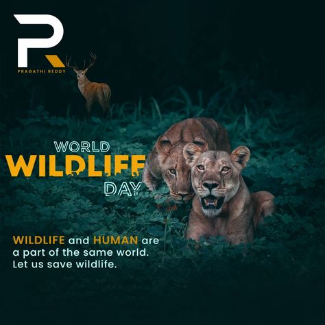 World Wildlife Day Poster, Zoo Sign, Jungle Wildlife, World Lion Day, World Wildlife Day, Jungle Life, Wildlife Day, Save Wildlife, Good Morning Images Flowers