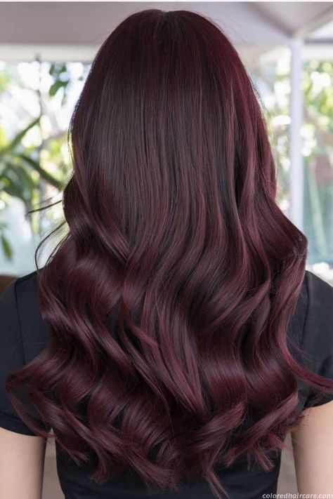 20 Stunning Mahogany Hair Color Ideas You'll Love This Year. 15 Dark Green Balayage, Brown And Burgundy Hair, Red Mahogany Hair Color, Dark Mahogany Hair Color, Best Burgundy Hair Dye, Dark Mahogany Hair, Green Balayage, Balayage Black Hair, Mahogany Red Hair