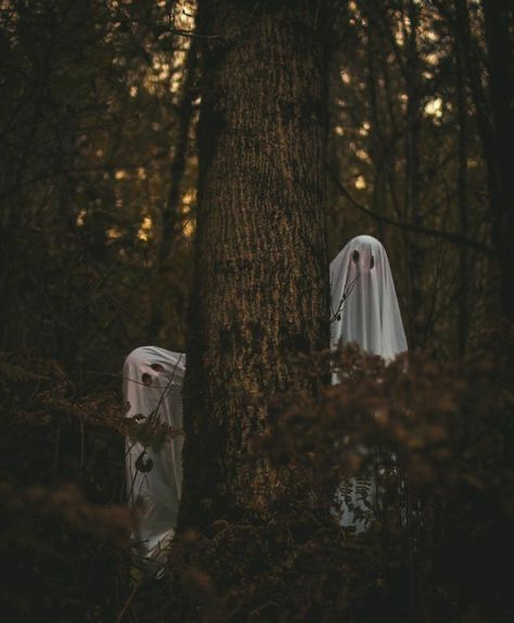 Ghost Theme Photoshoot, Funny Halloween Photos, Spooky Sister Photoshoot, Ghost Bff Photoshoot, Horror Family Photoshoot, Spooky Ghost Photoshoot, Halloween Reference Photos, Halloween Bff Photoshoot, Spooky Fall Photoshoot