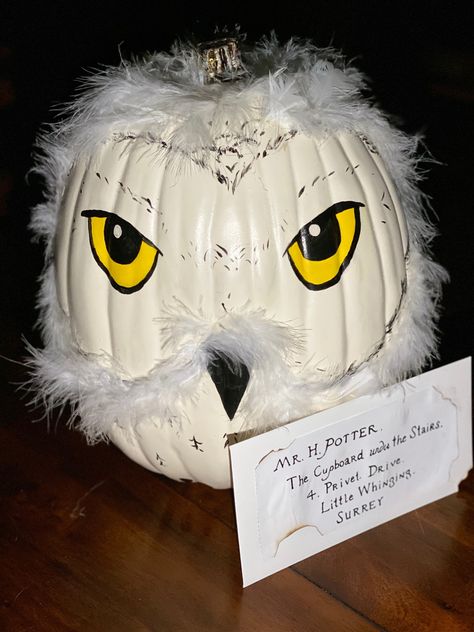 Harry Potter Themed Pumpkin Decorating, Book Character Pumpkins Harry Potter, Harry Potter Book Character Pumpkin, Harry Potter No Carve Pumpkin, Harry Potter Owl Pumpkin, Harry Potter Theme Pumpkin, Harry Potter Decorated Pumpkin, Pumpkin Decorating Ideas Harry Potter, Pumpkin Decorating Harry Potter