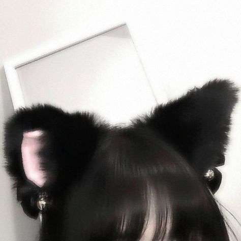 Animal Ears, An Animal, Cat Ears, Black Hair, Mirror, With Friends, Hair, Black