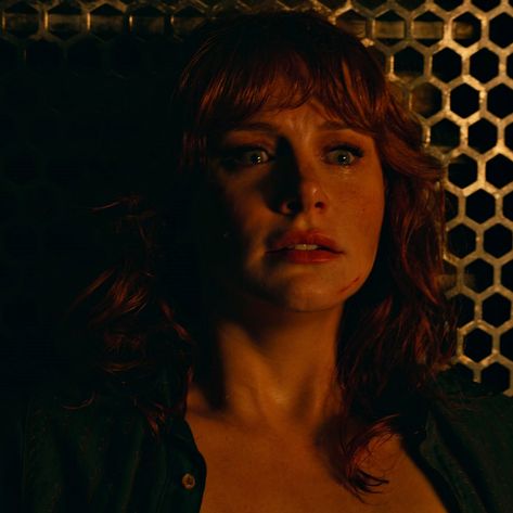 claire dearing Owen Grady And Claire Dearing, Claire Dearing, Owen Grady, Jurassic World Dominion, Fictional Character Crush, Dallas Howard, Bryce Dallas Howard, Child Actresses, Jurassic Park World