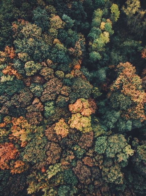 Earthy Tones Aesthetic, Earth Tone Aesthetic, Earth Tones Aesthetic, Earthy Aesthetic, Iconic Wallpaper, Green Aesthetic, Earthy Tones, Aerial View, Nature Beauty