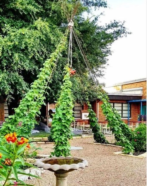 6.5FT Tall X 6.5FT Wide Metal Ring Arch for Outdoor Party Backdrop Decoration (with Ground Anchors, Screwdriver, and Instruct Elementary School Garden, Outdoor Party Backdrop, Bean Teepee, School Garden Club, Teepee Trellis, Play Garden, Eco Garden, Sensory Garden, School Garden