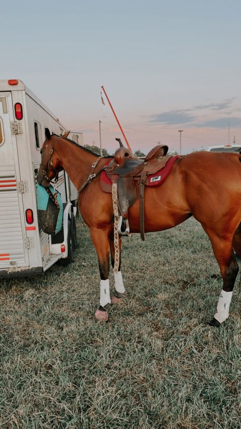 Bay Horses Western, Rodeo Horses Barrels, Barrel Racing Aesthetic, Barrel Racing Photography, Horse Tack Western, Barrel Racing Tack Rodeo, Show Jumping Horses, Cute Horse Pictures, Barrel Racing Horses