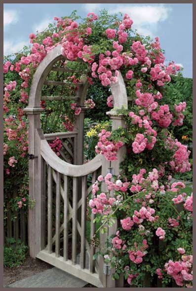 32 ideas para convertir la entrada de tu casa en algo espectacular                                                                                                                                                                                 More Garden Gates And Fencing, Secret Gardens, Have Inspiration, The Secret Garden, Garden Gate, Climbing Roses, Gorgeous Gardens, Fence Design, Garden Cottage