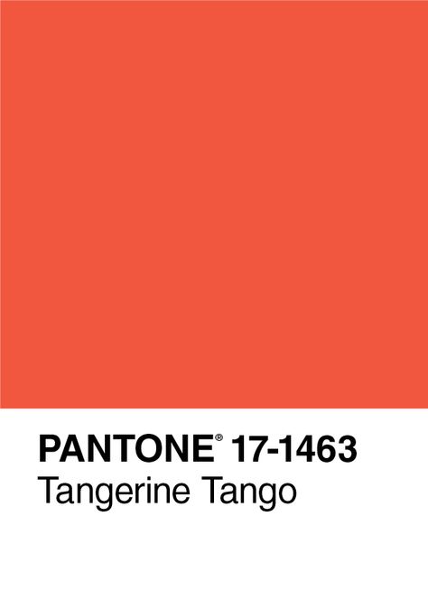 #pinpantone Pantone Color of the Year 2012 Tangerine Tango, journal cover Tangerine Pantone, Pantone Red, Branding Mood Board, Get To Know Me, Color Of The Year, Journal Covers, Pantone Color, Color Pallets, Tango