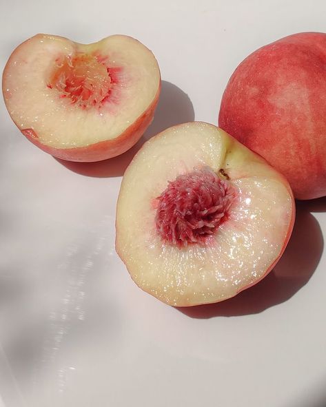 melocoton peach color vivo Medical Social Worker, Pencil Drawing Inspiration, Alena Shishkova, Fruit Icons, Peach Aesthetic, Watercolor Fruit, Still Life Photos, Sweet Snacks Recipes, Stone Fruit