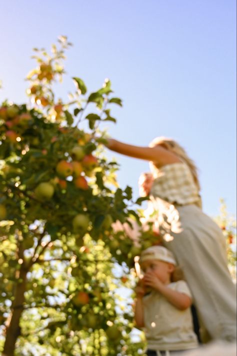 Picking apples, toddler fall photos, family pictures fall, apple picking photos, apple orchard Family Photo Apple Orchard, Family Apple Orchard Pictures, Apple Picking Pictures, Apple Orchard Pictures, Fall Photos Family, Apple Picking Photos, Family Pictures Fall, Thanksgiving Memories, Fall Apple Picking