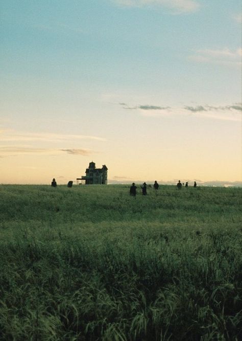 Days of Heaven (1978) Terrence Malick. Days Of Heaven, Heaven Movie, Terrence Malick, Sam Shepard, Fritz Lang, Beautiful Film, Richard Gere, Magic Hour, Film Inspiration