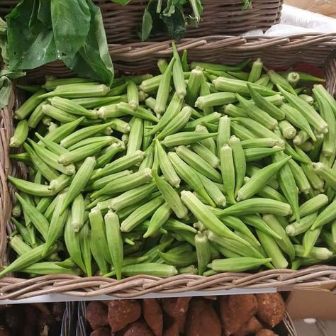 Bamje ose Okra Vegetables Pictures, Albanian Food, Fruits And Vegetables Pictures, Albanian Recipes, Vegetable Pictures, Okra, Food Store, Fruits And Vegetables, Fruit