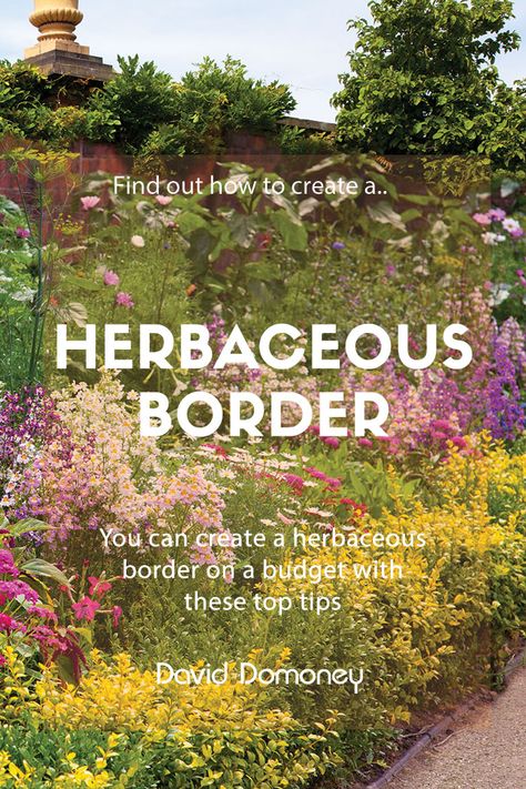 Create a stunning herbaceous flower border filled with perennials and annuals - on a budget! Ideas and inspiration for creating low cost flower borders Boarder Plants, Gardening Memes, Flower Bed Borders, Backyard Flowers Garden, Flower Bed Designs, Border Ideas, Garden Border, Herbaceous Border, Perennial Border