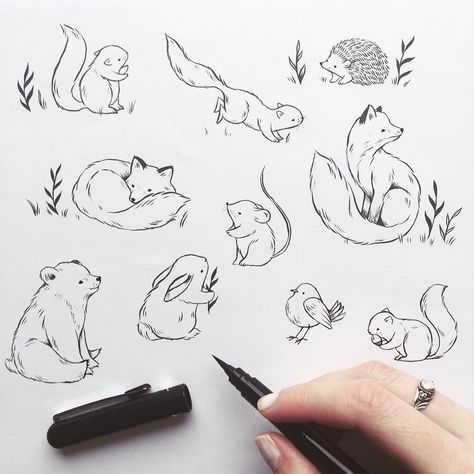 Drawing Animals, Woodland Critters, 자수 디자인, Nature Tattoos, Animal Sketches, Trendy Tattoos, Art And Illustration, Tattoo Ink, Woodland Creatures