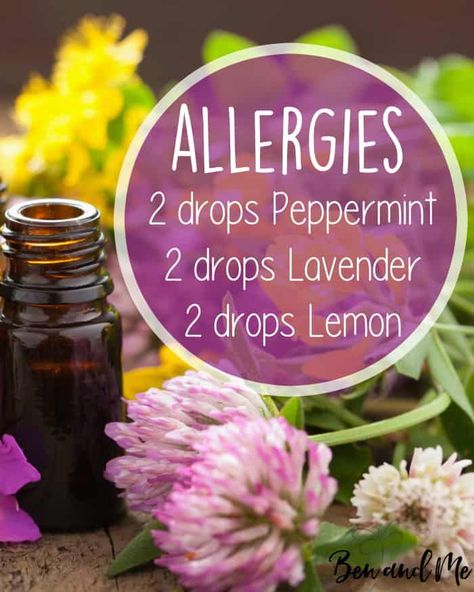 Allergy Essential Oil Blend for Your Diffuser Essential Oils Allergies, Essential Oil Remedy, Oil Remedies, Essential Oils Health, Essential Oil Diffuser Recipes, Oil Diffuser Recipes, Yl Essential Oils, Essential Oil Mixes, Essential Oil Blends Recipes