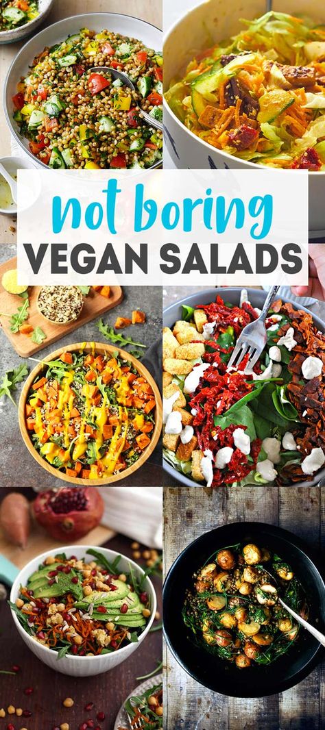 15 Hearty Vegan Salad Recipes that are full of incredible flavor and texture and will leave you satisfied! #karissasvegankitchen #cleaneating #healthysalads Vegan Salads, Healthy Vegan Snacks, Vegan Salad Recipes, Salad Recipes For Dinner, Vegan Salad, Spinach Salad, Vegan Lunch, Healthy Salad Recipes, Vegan Eating