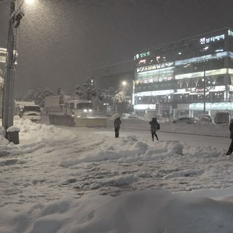 Snow Coquette, Snow At Night, Christmas In New York Aesthetic, I Love Winter, Dark Paradise, New York Aesthetic, Winter Scenery, Winter Nights, Best Seasons