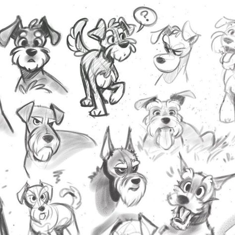 Schnauzer Character Design, Terrier Dog Drawing, Schnauzer Drawing Cartoons, Schnauzer Drawing Sketch, Dog Sniffing Illustration, Cartoon Dogs Character Design, Dog And Human Drawing, Character Design Expressions, Schnauzer Sketch