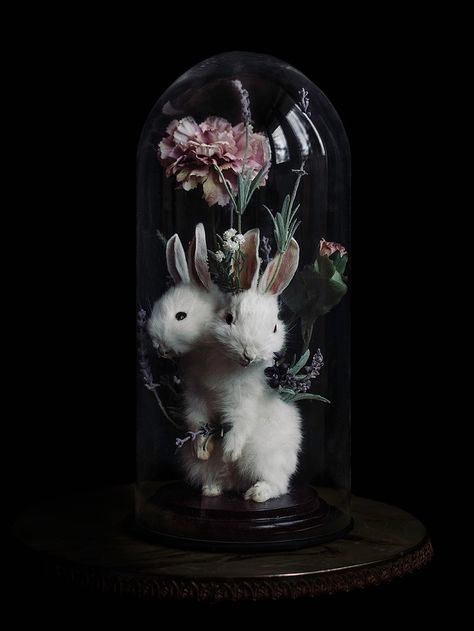 Prettiest Flowers, Petit Tattoo, Taxidermy Art, Vulture Culture, White Rabbits, Bone Art, Goth Decor, Gothic Decor, Glass Dome