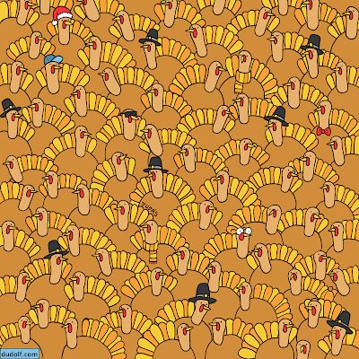 Thanksgiving Quiz, Solving A Rubix Cube, Can You Find It, Fox And Rabbit, Fall Fruits, Hidden Pictures, Hidden Objects, Brain Teaser, Trivia Quiz