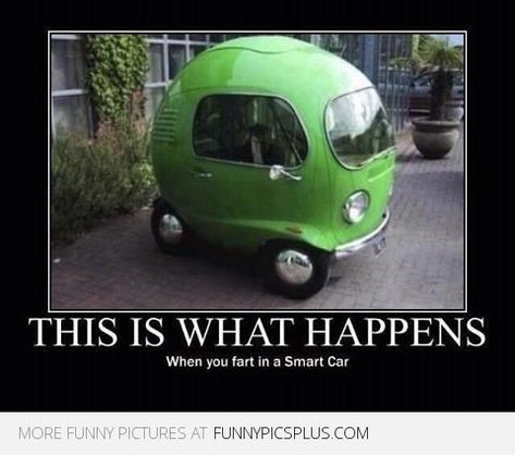 Silly Quotes, Car Jokes, Fart Humor, Funny Car Memes, Cat Info, Car Memes, Funny Dog Memes, Weird Cars, Smart Car