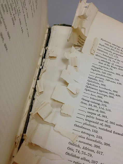 Ouch! Torn pages by DukeUnivLibraries, via Flickr. 2024 Diary, Creative Thinking, Book Pages, Personalized Items, London, Collage, Books, Pins, Quick Saves