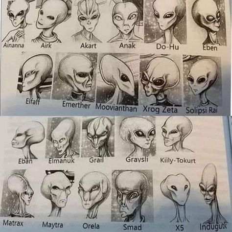 Alien Make-up, Types Of Aliens, Ufos Are Real, Alien Photos, Project Blue Book, Alien Life Forms, Creepy Core, Alien Encounters, Grey Alien