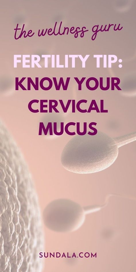 Fertility tip! Know your cervical mucus. During ovulation your cervical mucus can help sperm reach the cervix for pregnancy to occur. Learn the three types of mucus and which one is the most fertile. Fertile Cervical Mucus, Cervical Mucus Trying To Conceive, Cervical Mucus Cycle, How To Increase Cervical Mucus, Cervical Mucus After Ovulation, Increase Cervical Mucus, Mucus Color, Fertility Window, Mucous Plug