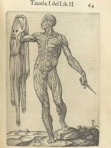 Medical Drawings, Art Theory, Albrecht Dürer, Anatomy Sketches, Hieronymus Bosch, Albrecht Durer, Medical Art, Anatomy Drawing, National Gallery Of Art