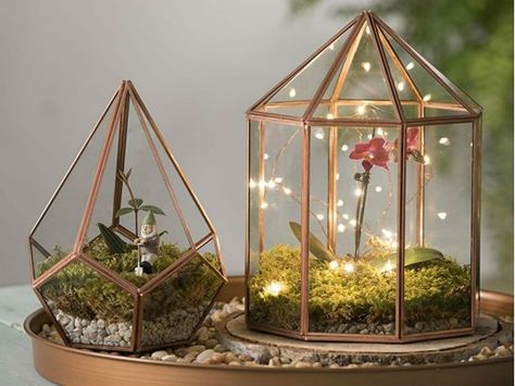 Top 10 Design Trends for 2017, According to Pinterest Tabletop Terrarium, Terrariums Diy, Diy Home Decor For Apartments, Easy Room Decor, Air Plant Terrarium, Geometric Terrarium, Terrariums Kits, Led Fairy Lights, Terrarium Diy