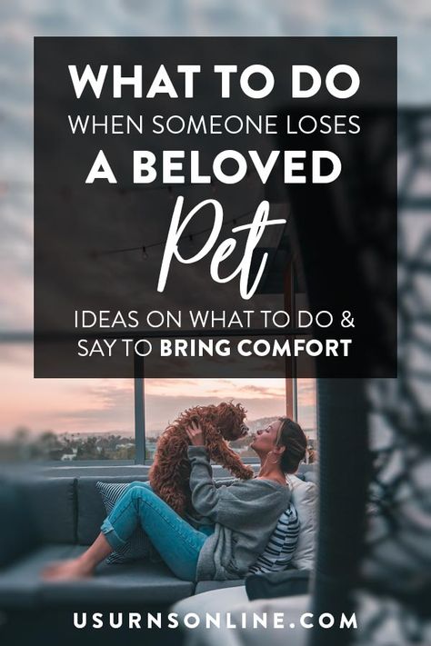 What to Do When Someone Loses a Pet Gift For Someone Who Lost A Pet, Gifts For Someone Who Lost A Pet, Pet Gifts Diy, Pet Loss Gift Ideas, Pet Passing, How To Comfort Someone, Losing A Pet Quotes, Pet Loss Dog, Pet Cremation Urns