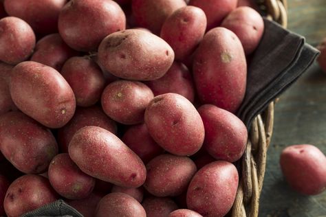 How to Store Red Potatoes | LEAFtv Smashed Red Potatoes, Smashed Potatoes Recipe, Potato Varieties, Healthy Potatoes, Types Of Red, Types Of Potatoes, Corn Beef And Cabbage, Growing Potatoes, Smashed Potatoes