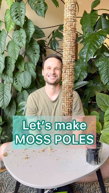 Sydney Plant Guy 🌱 on Instagram: "Moss Pole Tutorial :) if you’re after a full length tutorial check out my moss pole playlist on youtube (link in bio) . . . #plantsmakepeoplehappy #houseplantclub #indoorplantsdecor #mosspole #tutorial" Plant Guy, Indoor Climbing Plants, Moss Pole, Garden Poles, Plant Care Houseplant, Inside Plants, Trellis Plants, Moss Garden, Growing Plants Indoors