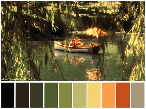 Color Grading Inspiration, Cinematic Pallet, Scene Color Palette, Cinematic Color Palette, Color In Film, Colour Grading, Movie Color Palette, Cinema Colours, Color Script