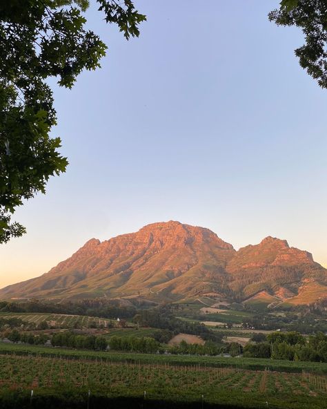 Nature
Mountains
Vineyards 
Sunset
Dusk
Beautiful South Africa Vineyard, Stellenbosch Aesthetic, South Africa Aesthetic, University Of South Africa, Stellenbosch South Africa, City Of Angels, Cape Town South Africa, Gap Year, I Want To Travel