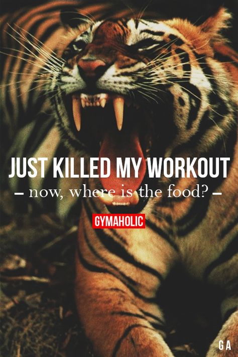 Boom, Just Killed My Workout Kotetsu Kaburagi, Big Tiger, Cheetahs, A Tiger, Wallpapers Iphone, Leopards, Beautiful Cats, 귀여운 동물, Big Cats