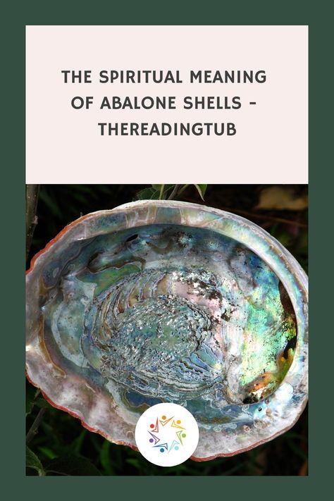 Abalone shells hold a significant spiritual meaning, representing not only the beauty and diversity of nature but also the deeper, metaphysical aspects of Abalone Shell Meaning, Abalone Meaning, Shell Meaning, Aries And Aquarius, Native American Wisdom, Libra And Pisces, Pisces And Sagittarius, Symbols And Meanings, Dream Meanings