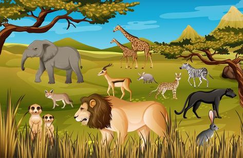 Divlje Zivotinje, Jungle Images, Different Types Of Animals, Portrait Background, In The Zoo, Cute Animal Clipart, Animal Groups, Islamic Paintings, Types Of Animals