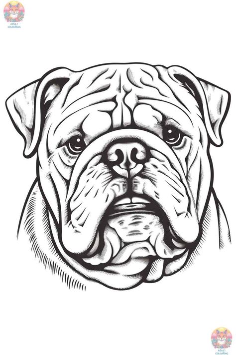 Bringing Bulldogs to Life with Coloring Pages - adultcolouring.com Bulldog Line Drawing, Bulldog Line Art, Bulldog Coloring Pages, Bull Drawing, Pit Bull Drawing, Australian Bulldog, English Bulldog Silhouette, Bulldog Cricut Image, English Bulldog Svg