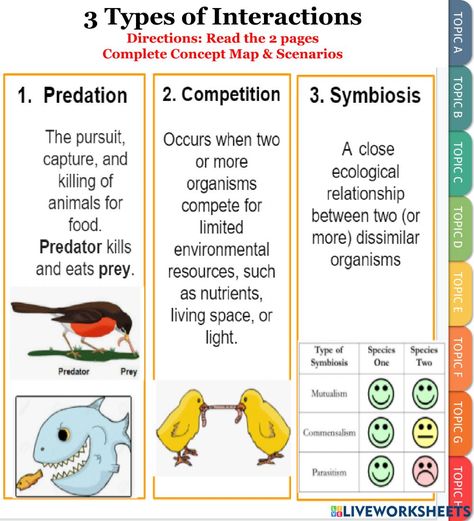 Ecological Relationships Activities, Symbiotic Relationships Activities, Weather Quiz, Trigonometry Worksheets, Chemical And Physical Changes, Relationship Worksheets, Relationship Activities, Transcription And Translation, 6th Grade Science