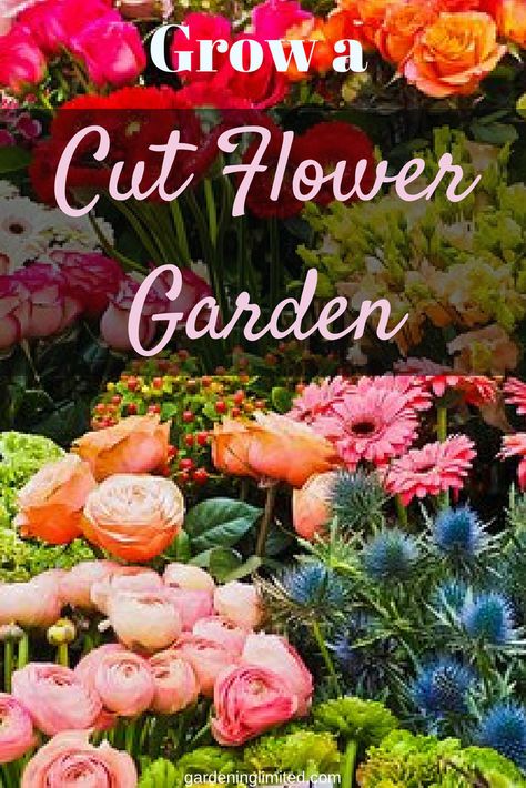 Do you love bouquets and centerpieces, but don't want to buy them? Grow a cut flower garden! Get some great tips on what and how to grow cut flowers here! #flowers #plants #gardening #gardendesign #gardens #gardenideas #gardeningtips #bouquet #centerpieces #homedecor #homedecorideas #homemade #homesteading Growing Cut Flowers, Cut Flower Farm, Tower Garden, Cut Flower Garden, Beautiful Flowers Garden, Easy Garden, Flowers Plants, Back To Nature, Flower Farm