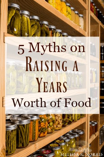 5 Gardening Myths on Raising a Years Worth of Food – Melissa K. Norris Years Worth Of Food Garden, How To Grow A Years Worth Of Food, What To Can From Garden, Growing A Years Worth Of Food, 25 Acre Homestead Layout, How To Become Self Sufficient, Healthy Homestead Meals, Pioneering Today Melissa K Norris, Homestead Layout 5 Acres